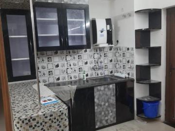 Flat Lucknow furnished