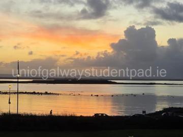 Apartment Galway