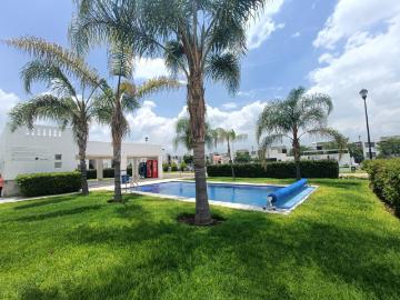 Departamento Bosque