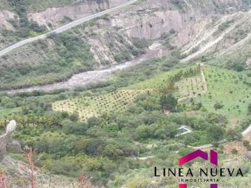 Terreno Ibarra