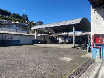 Local Quito