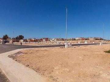 Terrain Safi
