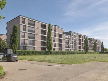 Wohnung Frauenfeld
