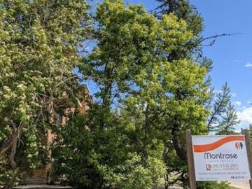 Apartment Grande Prairie