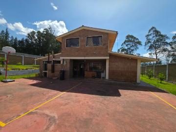 Casa Ibarra
