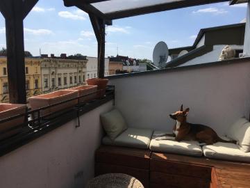 Wohnung terrasse Berlin