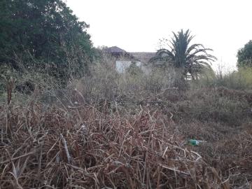 Terrain Kenitra