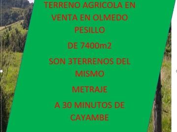 Terreno Cayambe