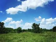 00000 Fm 1462 Rd, West Columbia, TX 77430 MLS 4589698