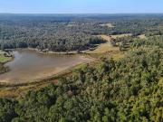 0000 ponderosa trail