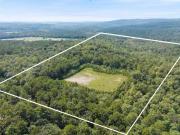 000 GRANNY GAP 1 ROAD, DOVER, AR 72837