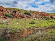 001 N 1920 Rd, Buffalo, OK 73834