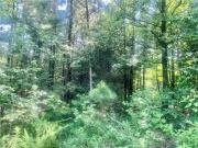 00 DOE LANE, DOVER, AR 72837