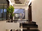 01 kanal fully renovated beautiful house for rent in dha...
