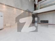 02 kanal fully renovated beautiful house for rent in dha...