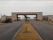 02 kanal North Open Corner DHA PesH Peshawar ID 35540