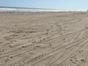 0483 MAGNIFICO TERRENO SOBRE PLAYA ZONA DIAMANTE