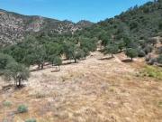 0 BACK CANYON ROAD, CALIENTE, CA 93518