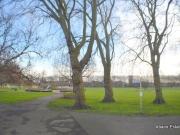 0 Bedroom Flat House to Rent