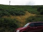 0 Bedrooms Land for sale in Bryn Road, Ogmore Vale CF32