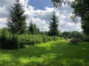 0 Bedrooms Land for sale in Woodland Off Riding Lane,...