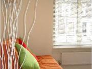 0 Bedrooms Studio for rent in Askew Crescent, Shepherds...