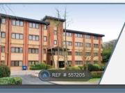 0 Bedrooms Studio for rent in Broadfield Park, Crawley RH11