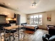 0 Bedrooms Studio for rent in Peaberry Court, Greyhound...