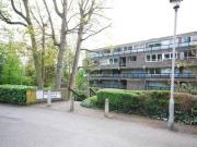 0 Bedrooms Studio for rent in Richmond Hill, Richmond...