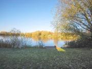 0 Bedrooms Studio for rent in Veryan, Goldsworth Park GU21