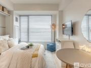 0 BR, 1 BA Apartment 213 Albany St, Unit 0813, Boston,...