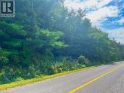 0 Mountsberg Road, Hamilton, ON, L0P 1B0 vacant land for...