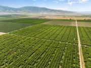 0 ROCK PILE, ARVIN, CA 93203