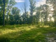 0 Wildlife Road