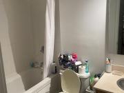 Spacious Room for Rent in Prime Downtown Condo –...