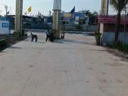 10000 Sq.Ft. Plot in Kota Industrial Area Kota Listing...