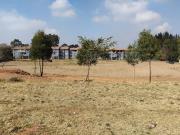 1000 square meter land space for ren.