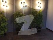 10000 yards brand new house in dha phase 8