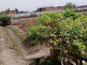1000 Mts Terreno En Mala A Pocos Minutos Del Centro