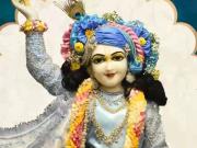 1000 Sq.Ft. Plot in Sultanpur Road Lucknow Listing ID #9501