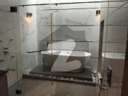 1000 Sq. Yards Fully Furnished Luxurious House with...