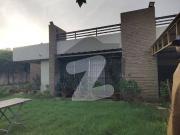 1000 Sq. Yards Well Maintained Single Storey Bungalow...