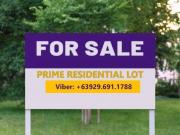 1000 sqm Prime Location Residential Lot for Sale in Don...
