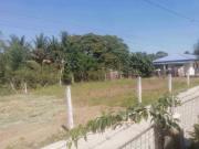 1000 sqm Titled Lot for Sale in Bautista, Pangasinan