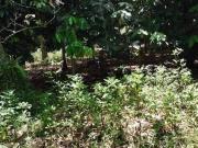 1000 square meters Residential Lot for Sale