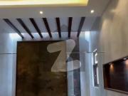 1000 Square Yard Brand New Bungalow 2+4 Bedroom With...