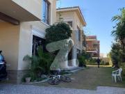 1000 Square Yard House Available For Rent At DHA Phase 8
