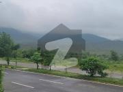 1000 Square Yards Residential Plot Available For Sale In E 7