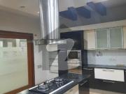 1000 Yard Bungalow For Rent In Phase 6 DHA Phase 6