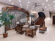 1000 Yard Full Furnished Banglow For Rent